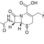 Impureza de óxido de cefepima 1 CAS #: 88040-23-711