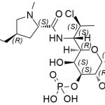 Clindamycin EP Impurity C CAS#: 28708-34-1