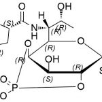 Clindamycin EP Impurity G CAS#: 18323-44-97