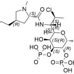 Clindamycin EP Impurity H CAS#: 18323-44-98