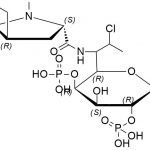 Clindamycin EP Impurity I CAS#: 1309048-48-3