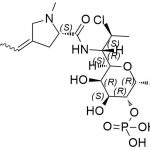 Clindamycin EP Impurity J CAS#: 1309349-64-1