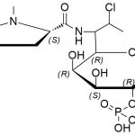 Clindamycin EP Impurity L CAS#: 620181-05-7