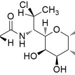 Clindamycin B Palmitate CAS#: 68206-99-5