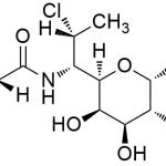 Clindamycin Palmitate Impurity 21 CAS#: 18323-44-921
