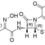 頭孢地尼雜質 H CAS#: 91832-40-58