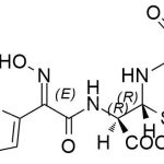 Pengotor Cefdinir Q CAS#: 91832-40-517