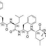 Carfilzomib Impurity 40 CAS#: 868540-17-440
