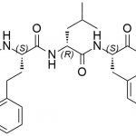 Carfilzomib Impurity 48 CAS#: 868540-17-448