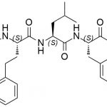 Carfilzomib Impurity 49 CAS#: 868540-17-449