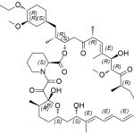 Everolimus Impurity 005-98 CAS#: 745779-75-3