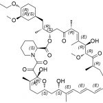 Everolimus Verunreinigung 005-98 CAS#: 745779-75-3