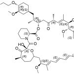 エベロリムス不純物501-95CAS＃：159351-69-695