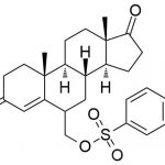 Exemestane Impurity 12 CAS #: 107868-30-412