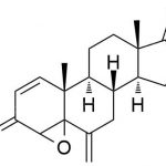 Exemestane Imurity 13 CAS#: 107868-30-413