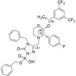 טומאת Fosaprepitant 20 CAS#: 172673-20-020