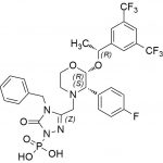 Fosaprepitant-Verunreinigung 21 CAS#: 172673-20-021