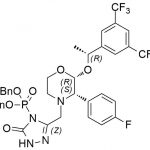 Impureza Fosaprepitant CYG CAS #: 172673-20-0225