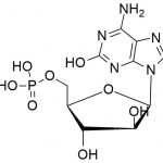 Fludarabine EP impurity A CAS#: 21679-14-11