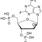 Fludarabine EP impurity C CAS#: 548774-53-4