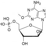 Fludarabine EP impurity J CAS#: 21679-14-19