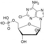 Fludarabine EP impurity K CAS#: 21679-14-110
