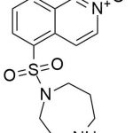 Fasudil Impurity 14 CAS#: 103745-39-714