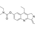 Irinotecan Impurity 24 CAS#: 97682-44-524