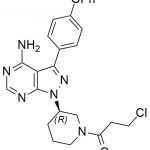 Ibrutinib Impurity 5 CAS#: 936563-96-15