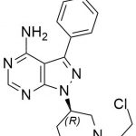 Ibrutinib Impurity 12 Nº CAS: 936563-96-112