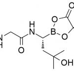 Ixazomib Impurity 11 CAS#: 1239908-20-311
