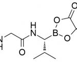 Ixazomib Impurity 12 CAS#: 1239908-20-312
