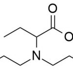 Pengotor Levetiracetam 24 CAS#: 102767-28-224