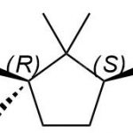 Levocarnitin-Verunreinigung B CAS#: 124-83-4