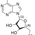 Linezolid Impurity 43 CAS#: 165800-03-343