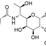 Lincomycin mono-oxalate CAS#: 154-21-27