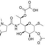 Lincomycin bis-oxalate CAS#: 154-21-26