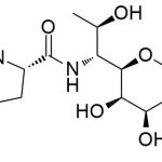 Lincomycin sulfoxide Impurity 1 CAS#: 154-21-21