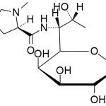 Lincomycin hydrochloride impurity A CAS#: 154-21-23