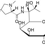 Lincomycin hydrochloride impurity B CAS#: 154-21-24