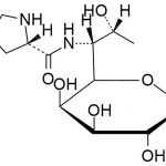 Lincomycin hydrochloride impurity C CAS#: 14600-41-0