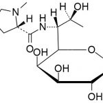Lincomycin hydrochloride impurity D CAS#: 154-21-25