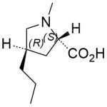 Lincomycin hydrochloride impurity E CAS#: 6734-79-8