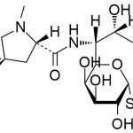 Lincomycin B CAS#: 2520-24-3