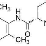 Mepivacaine Impurity A CAS#: 24358-84-7