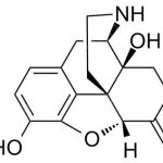 Nalmefene Impurity B CAS#: 42971-33-5