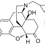 Nalmefene Impurity C CAS#: 16676-29-2