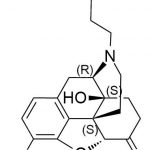 النالتريكسون Impurity4 CAS #: 189016-90-8