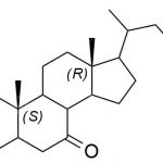 Impureté d'acide obéticholique 24 N° CAS : 459789-99-224