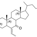 Pengotor Asam Obeticholic 26 CAS#: 459789-99-226